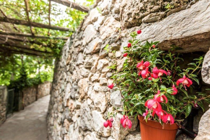 Agriturismo La Selva Hotel Finale Ligure Exterior foto