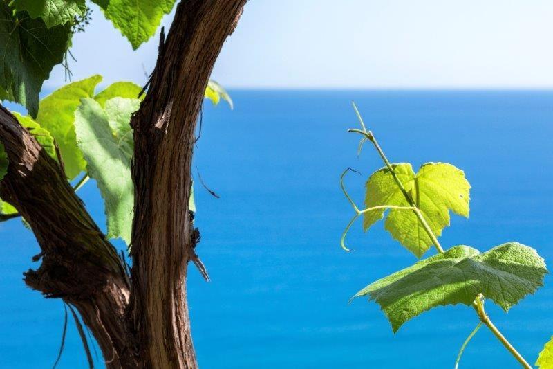 Agriturismo La Selva Hotel Finale Ligure Exterior foto